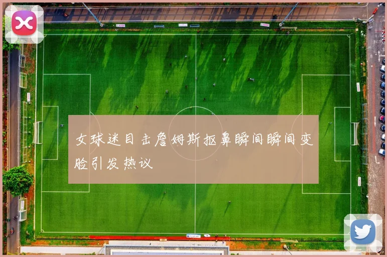 女球迷目击詹姆斯抠鼻瞬间瞬间变脸引发热议