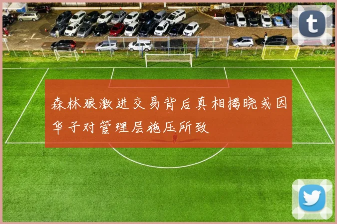森林狼激进交易背后真相揭晓或因华子对管理层施压所致